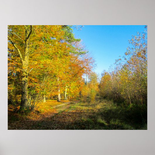 Zonnig herfstbos - Gepersonaliseerd Poster (Voorkant)