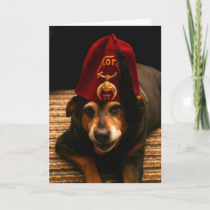 Zonnig in een Fez - Wenskaart (leeg van binnen) Kaart