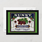 Zonnig Loganberry fruit Briefkaart (Voorkant / Achterkant)