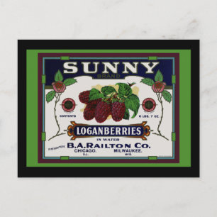 Zonnig Loganberry fruit Briefkaart