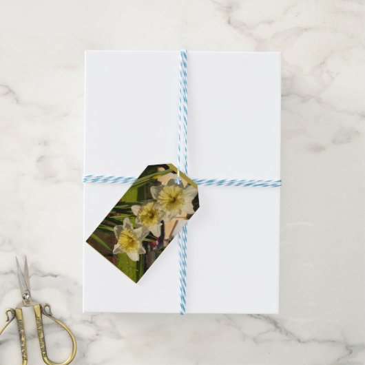 Zonnig narcis trio cadeaulabel (Met Touw)