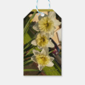 Zonnig narcis trio cadeaulabel (Voorkant)
