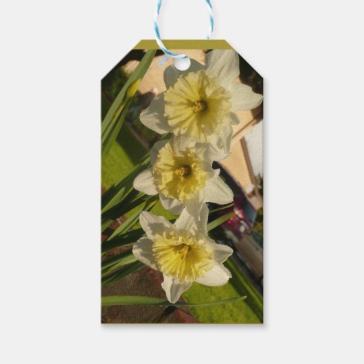 Zonnig narcis trio cadeaulabel (Voorkant)
