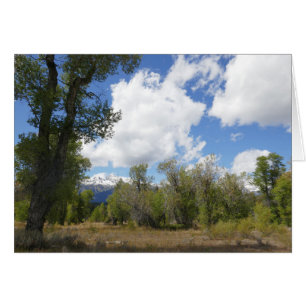 Zonnig Uitzicht van Grand Teton Mountain