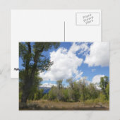 Zonnig Uitzicht van Grand Teton Mountain Briefkaart (Voorkant / Achterkant)