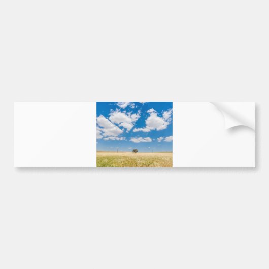 zonnig veld bumpersticker (Voorkant)