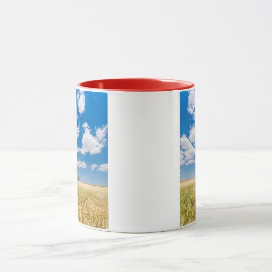 zonnig veld mok (Midden)