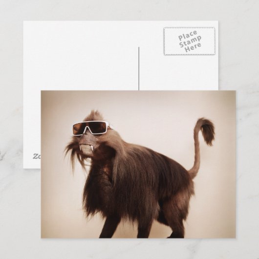 zonnige aap briefkaart (Voorkant / Achterkant)