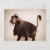 zonnige aap briefkaart (Voorkant)