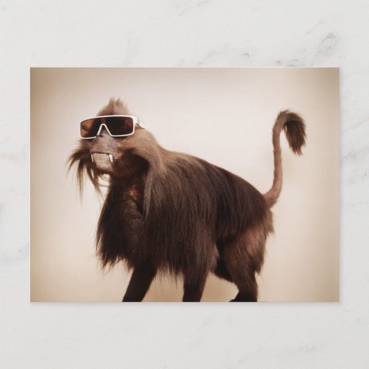 zonnige aap briefkaart (Voorkant)