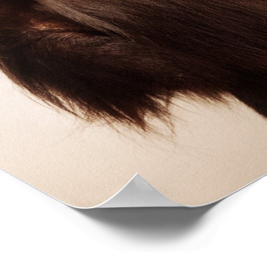 zonnige aap poster (Hoek)