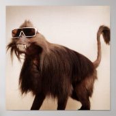 zonnige aap poster (Voorkant)