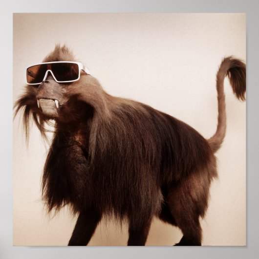 zonnige aap poster (Voorkant)