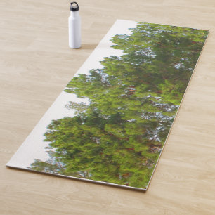 Zonnige dag Groene Pine Treetops Yogamat