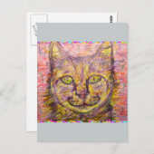 zonnige dag kat hé briefkaart (Voorkant / Achterkant)