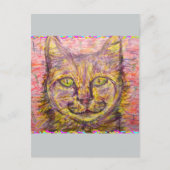 zonnige dag kat hé briefkaart (Voorkant)