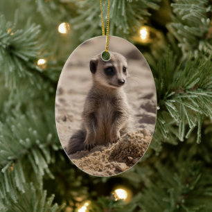 Zonnige dagen: Baby Meerkat's Beach Adventure Keramisch Ornament