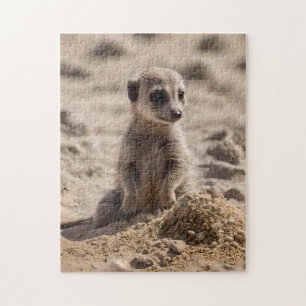Zonnige dagen: Baby Meerkat's Beach Adventure Legpuzzel