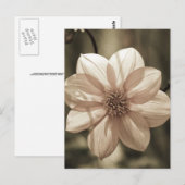 Zonnige Dahlia Briefkaart (Voorkant / Achterkant)