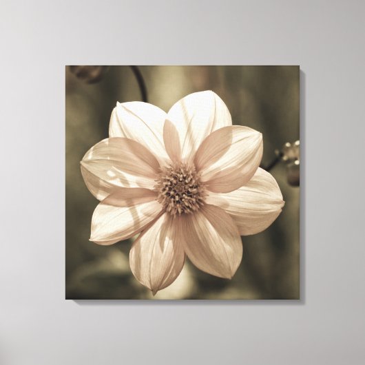 Zonnige Dahlia Canvas Afdruk (Voorkant)