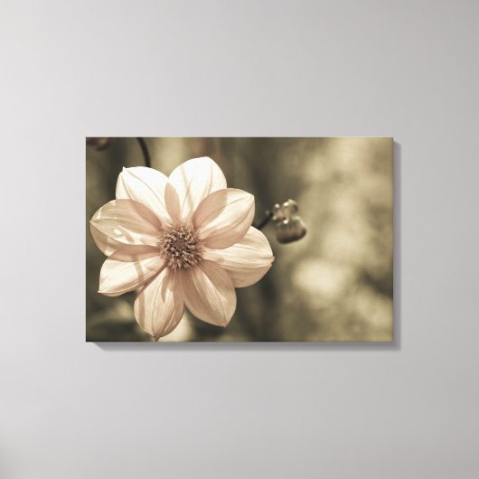 Zonnige Dahlia Canvas Afdruk (Voorkant)
