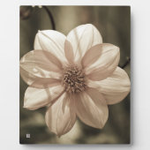 Zonnige Dahlia Fotoplaat (Voorkant)