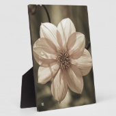 Zonnige Dahlia Fotoplaat (Zijkant)