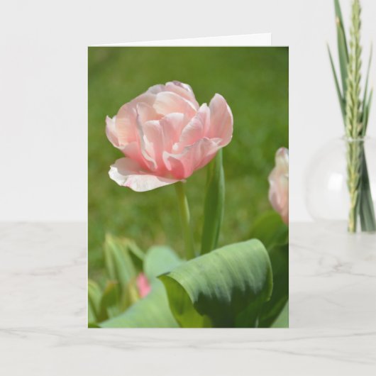 Zonnige Fantasie Roze Tulpen Kaart (Voorkant)