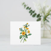 Zonnige goudsbloemen uit de Natuur Briefkaart (Staand voorkant)
