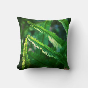 Zonnige groene varenplantenbladeren kussen werp ku