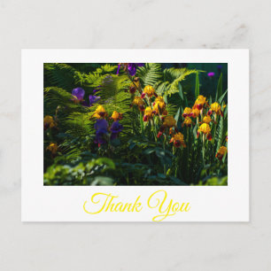 Zonnige Iris Bloemen Tuin Bedankt Ansichtkaart Briefkaart