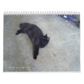 zonnige kalander kalender (Hoes)