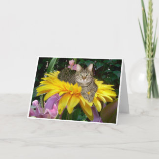 Zonnige Kant van de Straat Kaart