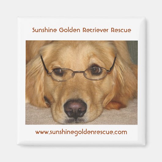 Zonnige Magneet - Sunshine Golden Retriever Rescue (Voorkant)