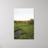 Zonnige Weide Canvas Afdruk (Voorkant)