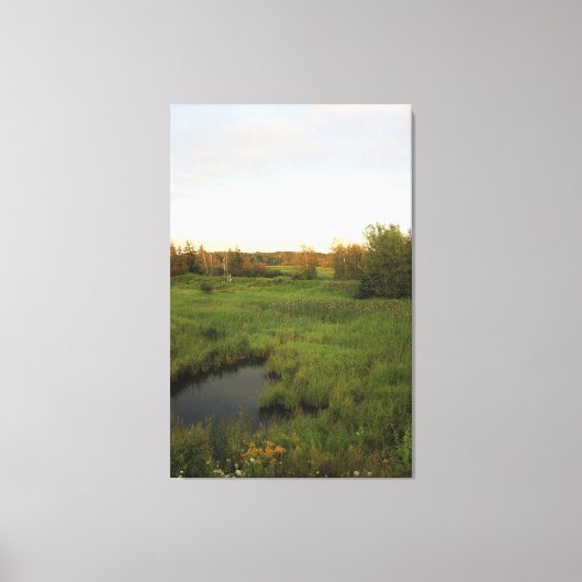 Zonnige Weide Canvas Afdruk (Voorkant)