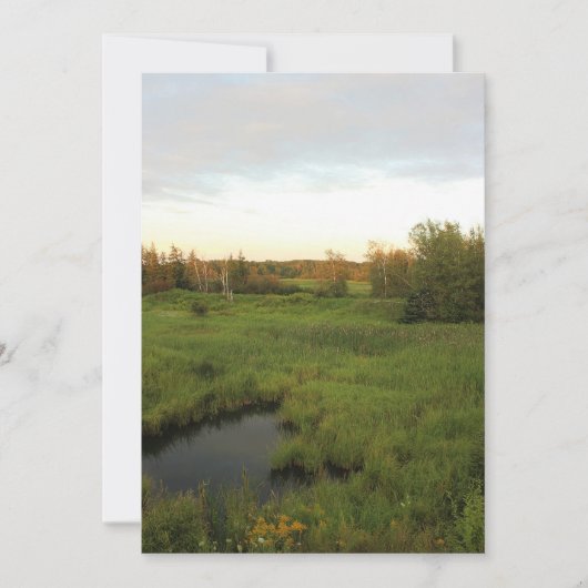 Zonnige Weide Kaart (Voorkant)