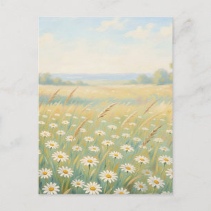 Zonnige Witte Madelief Weide Wilde Bloemen Veld Briefkaart