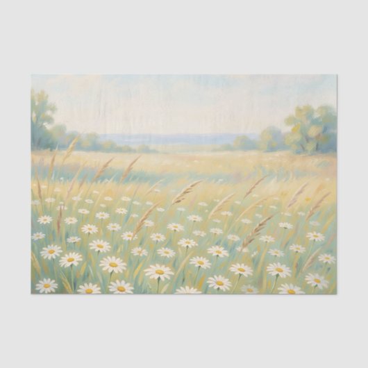 Zonnige Witte Madelief Weide Wilde Bloemen Veld Tissuepapier (Voorkant)