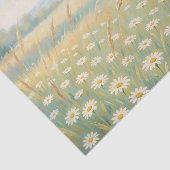 Zonnige Witte Madelief Weide Wilde Bloemen Veld Tissuepapier (Detail)