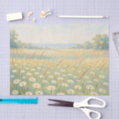 Zonnige Witte Madelief Weide Wilde Bloemen Veld Tissuepapier (Craft)