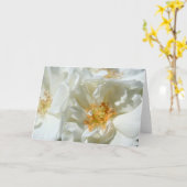 Zonnige Witte Wilde Rozen Bloemen Fotografiekaart Kaart (Gele Bloem)