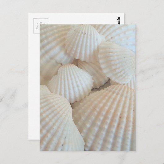 Zonnige Witte Zeeschelpen, Exotische het Strand Briefkaart (Voorkant / Achterkant)