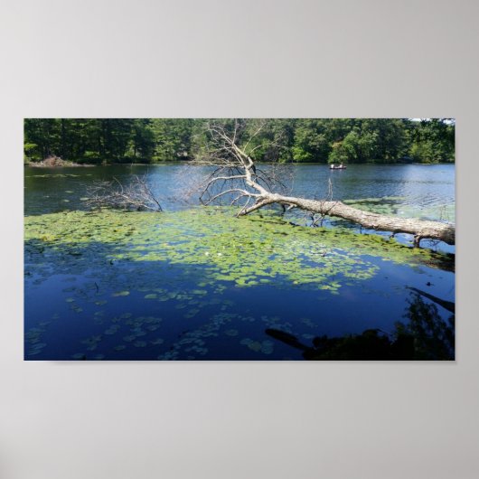 zonnige zomer poster (Voorkant)