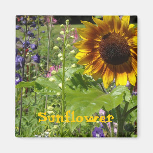 Zonnige Zonnebloem Magneet