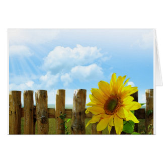 Zonnige Zonnebloemen
