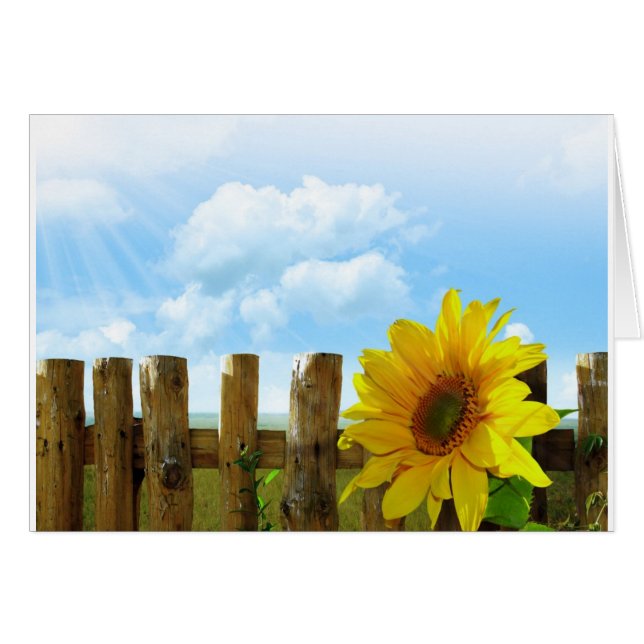 Zonnige Zonnebloemen (Voorkant Horizontaal)