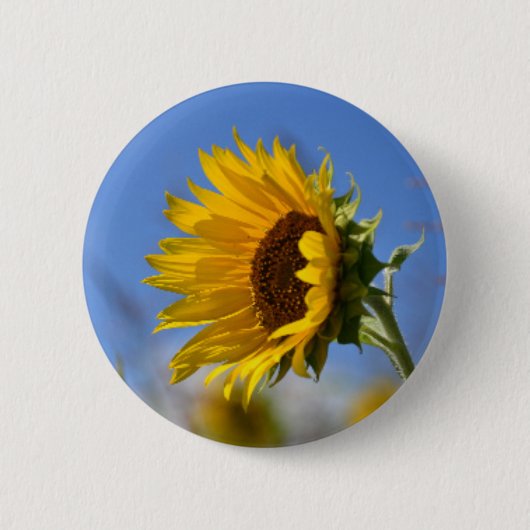Zonnige Zonnebloemen Ronde Button 5,7 Cm (Voorkant)