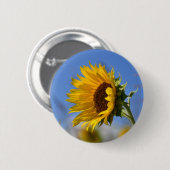 Zonnige Zonnebloemen Ronde Button 5,7 Cm (Voorkant /achterkant)