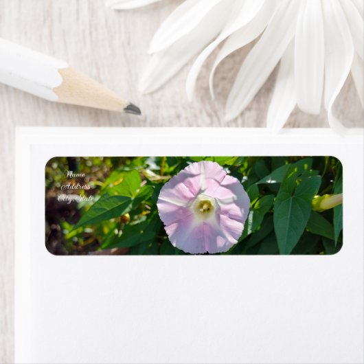 Zonovergoten achtergrond etiket (Insitu)